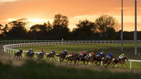 https://betting.betfair.com/horse-racing/Chelmsford%201280%20.jpg